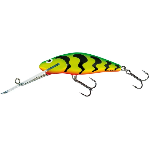 Clown Yellow Perch