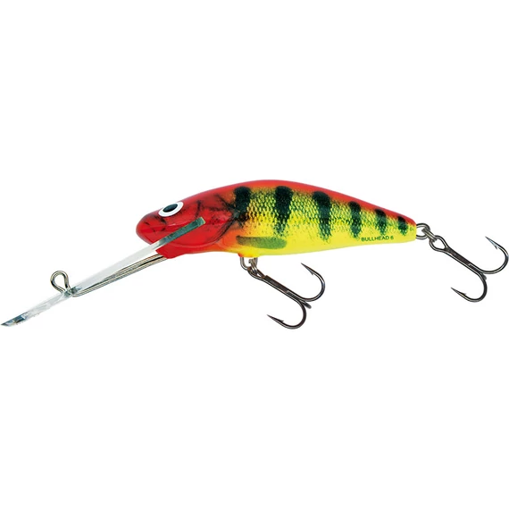 Clown Yellow Perch
