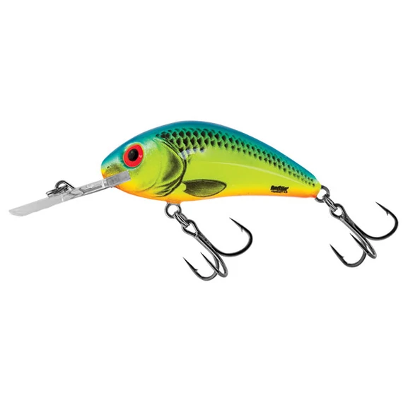 Clear Young Perch