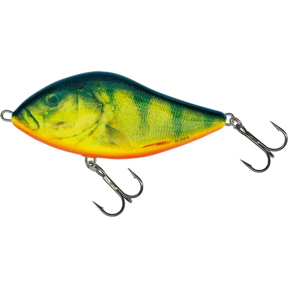 CLOWN YELLOW PERCH