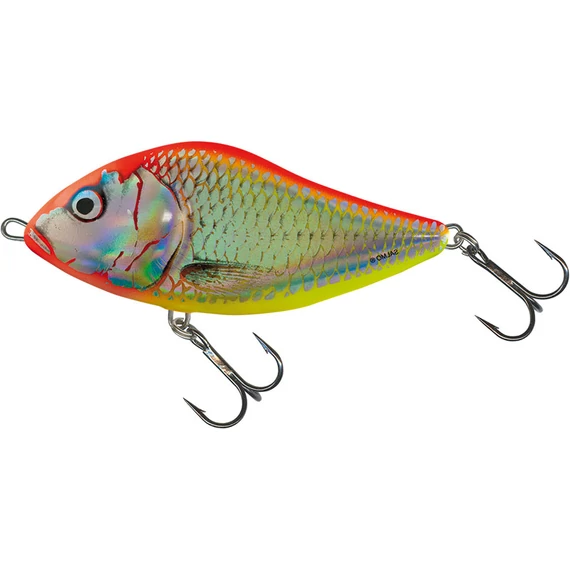 CLOWN YELLOW PERCH