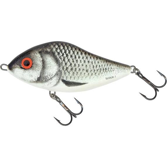 CLOWN YELLOW PERCH