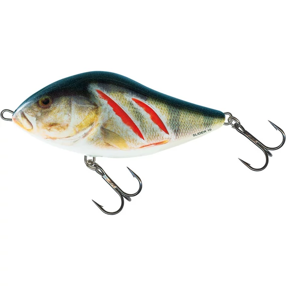 CLOWN YELLOW PERCH