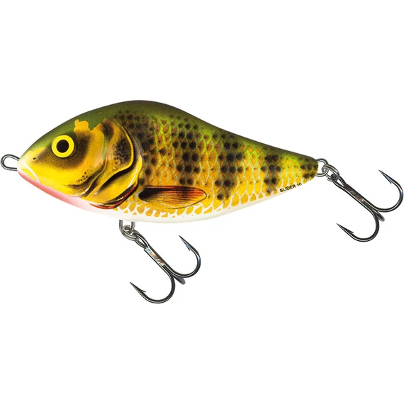 CLOWN YELLOW PERCH