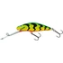 Kép 3/6 - Clown Yellow Perch