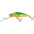 Kép 6/6 - Clown Yellow Perch