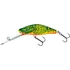 Kép 4/6 - Clown Yellow Perch