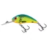 Kép 4/12 - Clear Young Perch