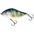 Kép 21/28 - CLOWN YELLOW PERCH