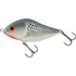 Kép 25/28 - CLOWN YELLOW PERCH