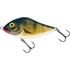 Kép 4/28 - CLOWN YELLOW PERCH