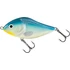 Kép 1/28 - CLOWN YELLOW PERCH