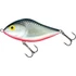 Kép 6/28 - CLOWN YELLOW PERCH